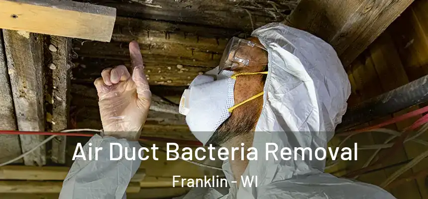 Air Duct Bacteria Removal Franklin - WI