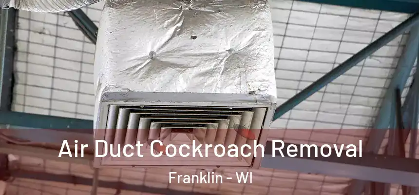  Air Duct Cockroach Removal Franklin - WI