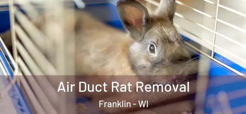Air Duct Rat Removal Franklin - WI