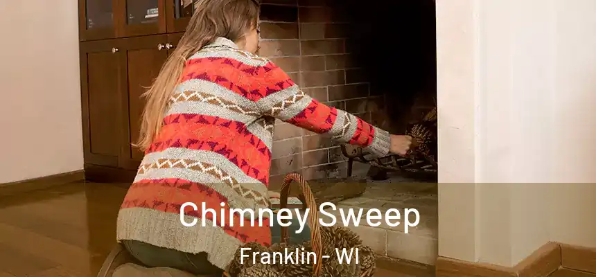 Chimney Sweep Franklin - WI
