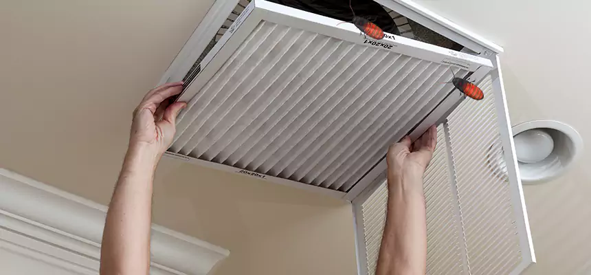 Our Insect Removal from Air Ducts Services in Franklin, WI