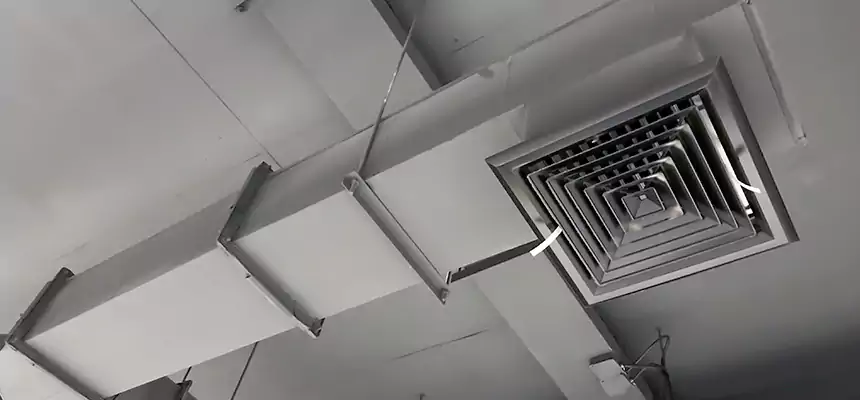 Our Rodent Droppings In Vents Services in Franklin, WI