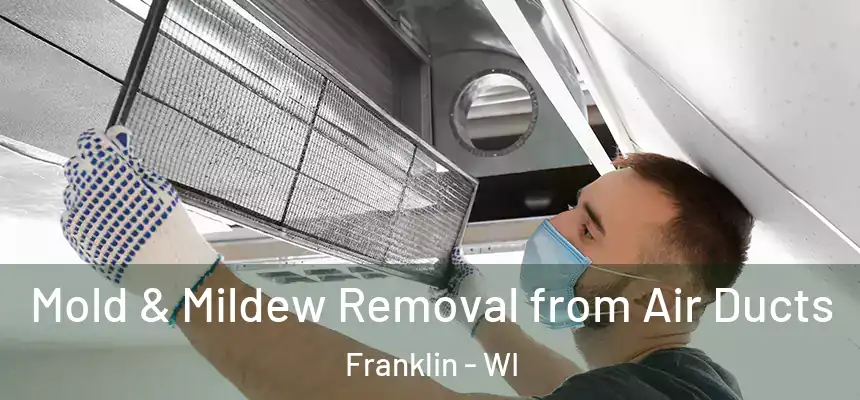 Mold & Mildew Removal from Air Ducts Franklin - WI