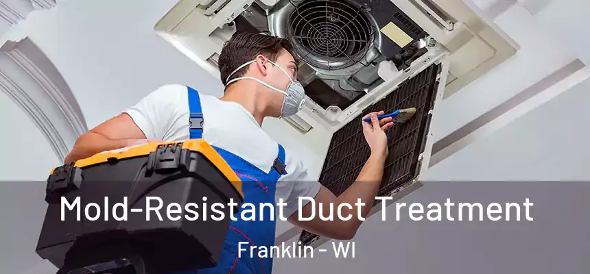 Mold-Resistant Duct Treatment Franklin - WI