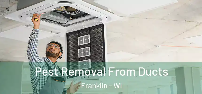 Pest Removal From Ducts Franklin - WI
