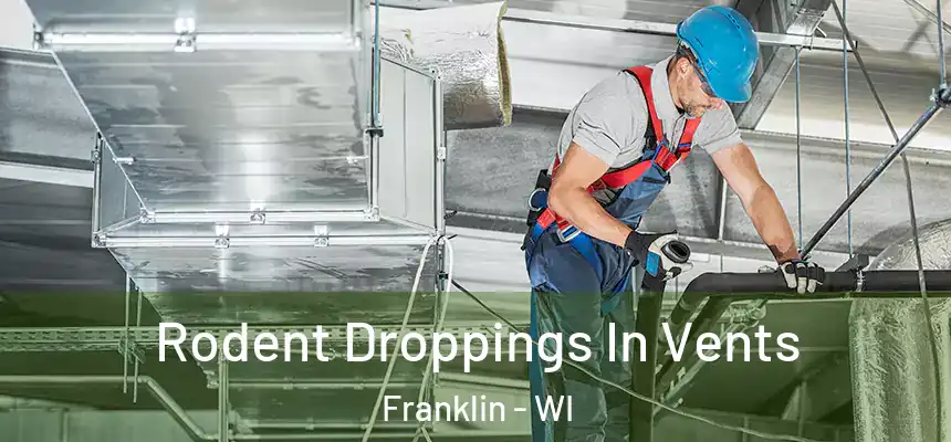 Rodent Droppings In Vents Franklin - WI