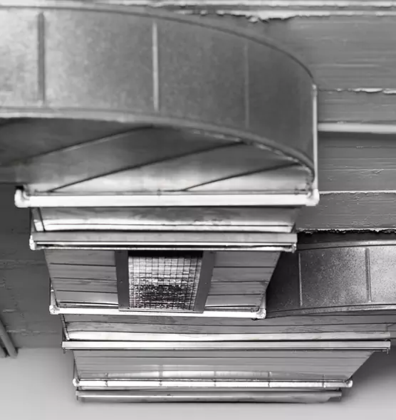 Professional Air Duct Pest Removal in Franklin, WI