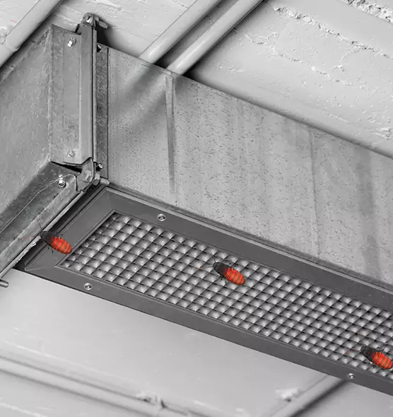 Affordable Insect Removal from Air Ducts in Franklin, WI
