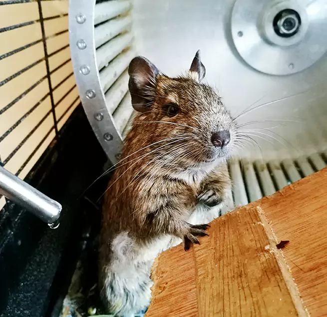 Why Homeowners & Businesses Trust Us Franklin, WI